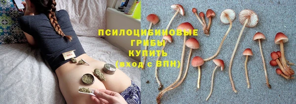 соль курить ск Новокубанск