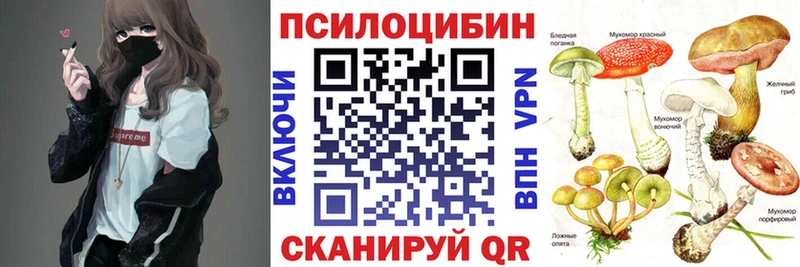 Галлюциногенные грибы Psilocybine cubensis  Уссурийск 